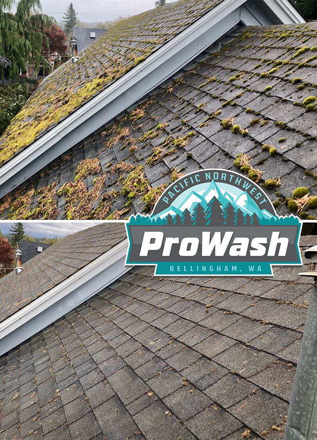 roof cleaning company near me in bellingham wa 01