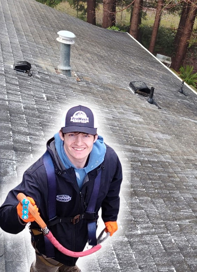 roof cleaning service near me in bellingham wa 01